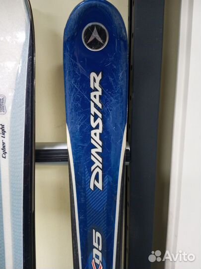 Горные лыжи