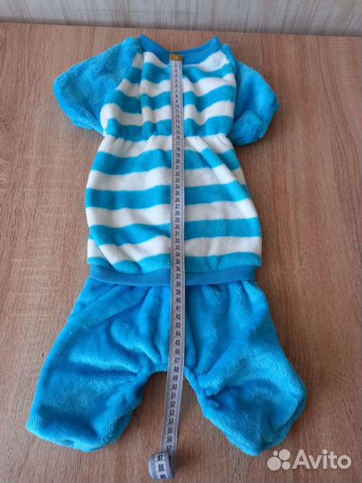 Комбинезон для таксы