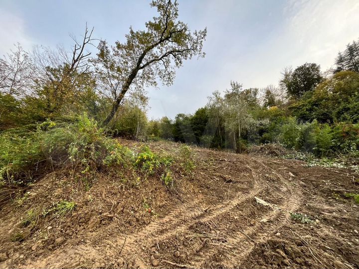 Участок 17 сот. (СНТ, ДНП)