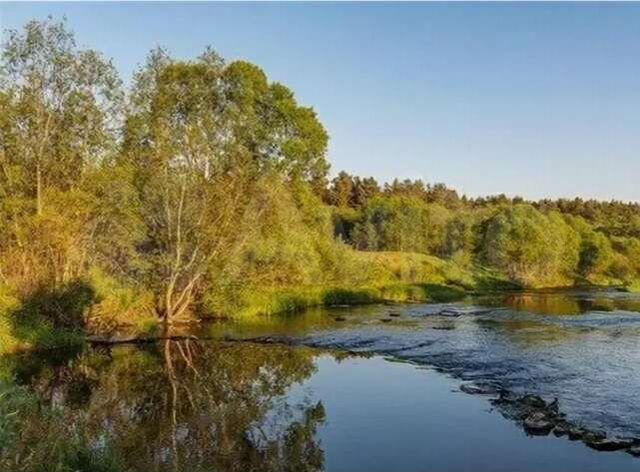 Участок 15 сот. (ИЖС)