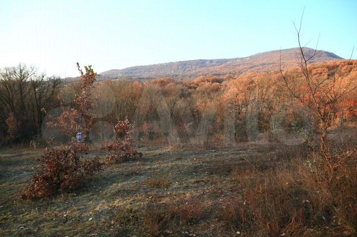 Участок 85 сот. (ИЖС)
