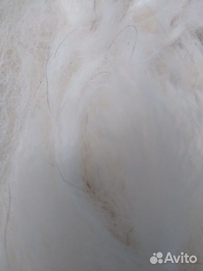 Вычес сибирской хаски и аляскинского маламута