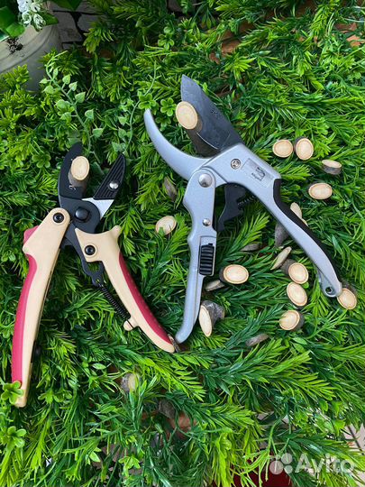 Секатор аллигатор