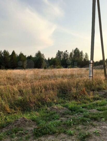 Участок 40 сот. (ИЖС)