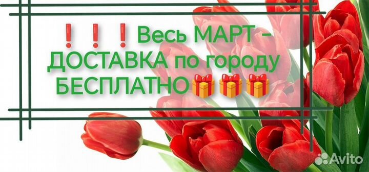 Стиральные машинки на гарантии