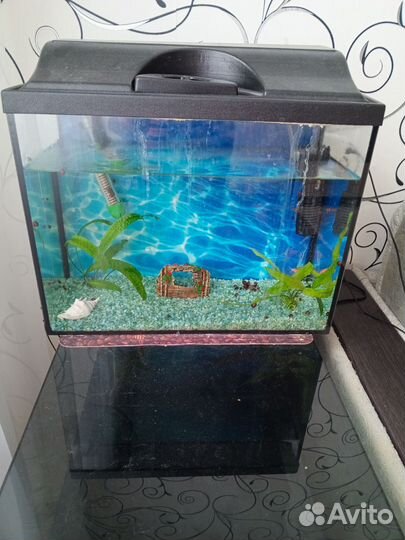Аквариум
