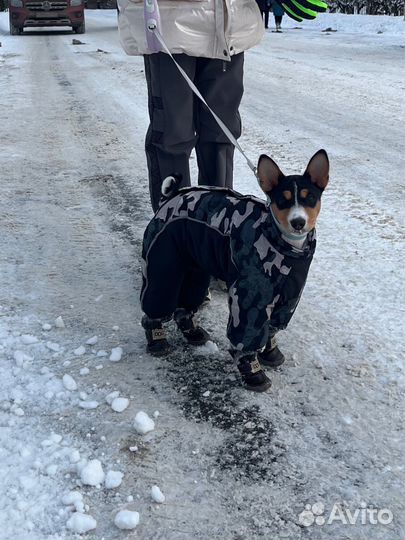 Зимний теплый комбинезон для собаки (девочки)