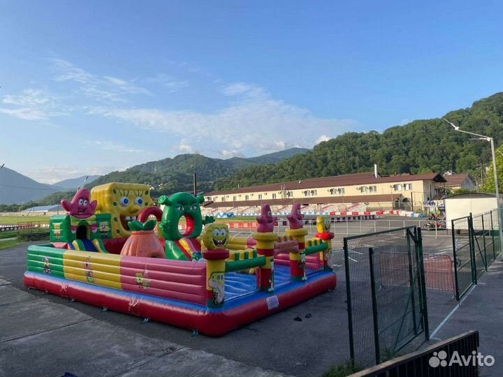 Свой человек в Сочи