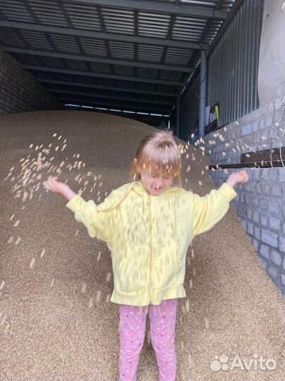 Зерно пшеница ячмень в мешках