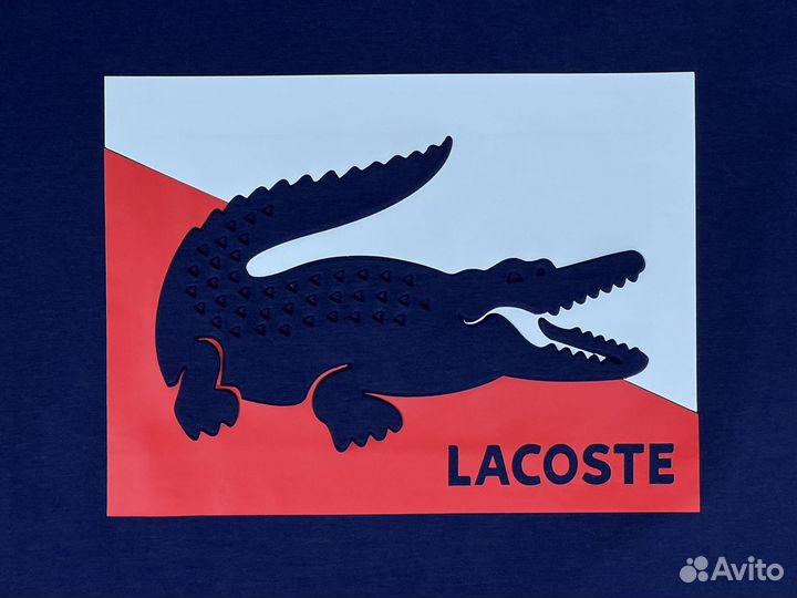 Летний комплект Lacoste