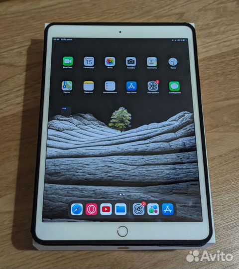 iPad Pro 64gb 10.5 wifi + cellular rose gold