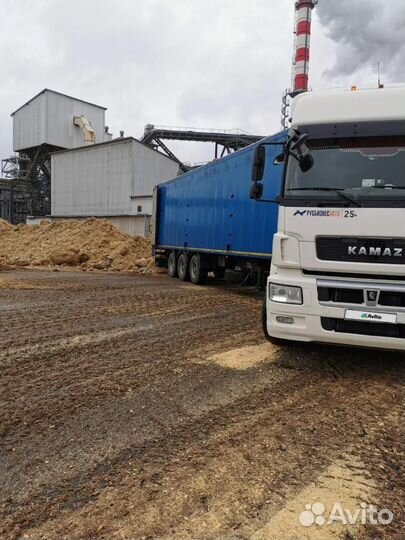 КамАЗ 5490-032-87(S5) NEO 2, 2019