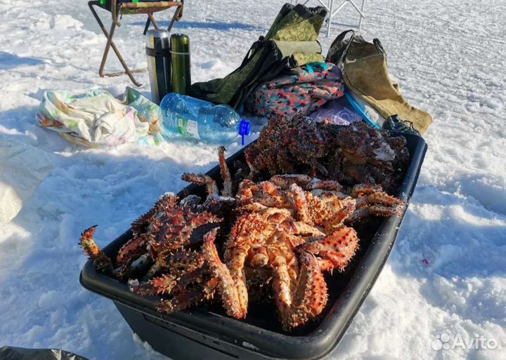 Рыбалка и отдых