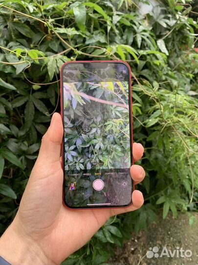 iPhone 14 Plus, 128 ГБ