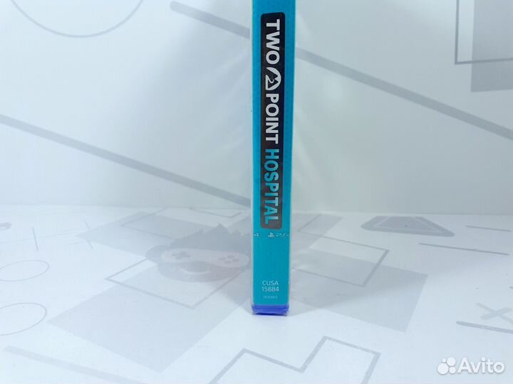 Two Point Hospital (PS4)