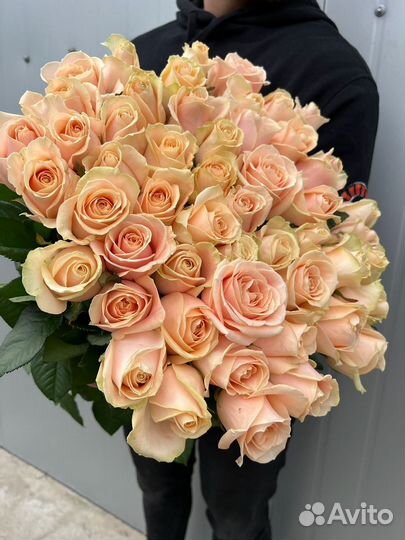 Букет голландских роз 51 шт