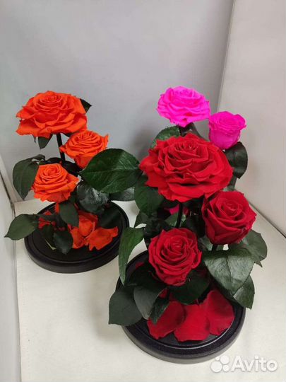 Роза в колбе