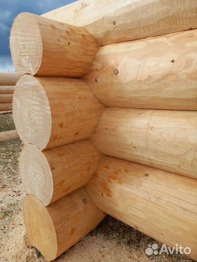 Срубы домов и бань