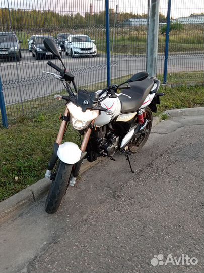 Stels flame 200