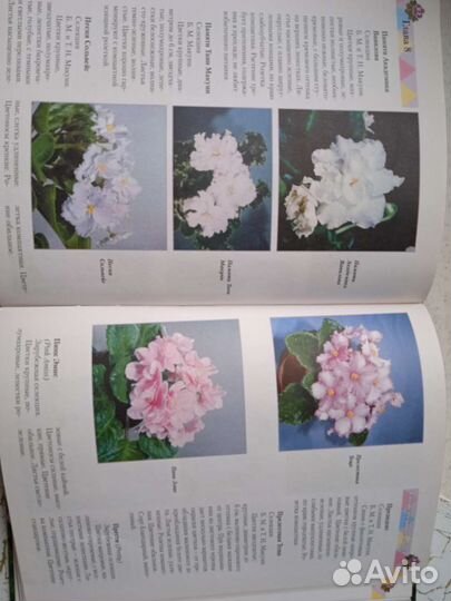 Книга Сенполии