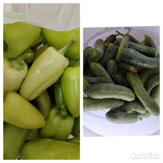 Огурцы, перцы, баклажан, кабачки