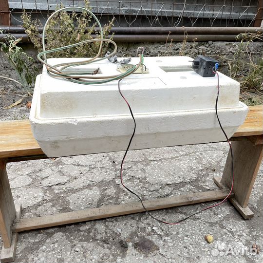 Инкубатор для яиц