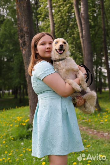 Малышка с разными глазами