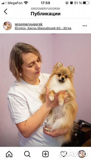 Стрижка кошек и собак