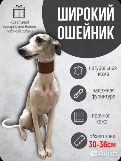 Ошейник для собак