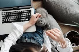 Менеджер поддержки в online-маркетплейс, без опыта