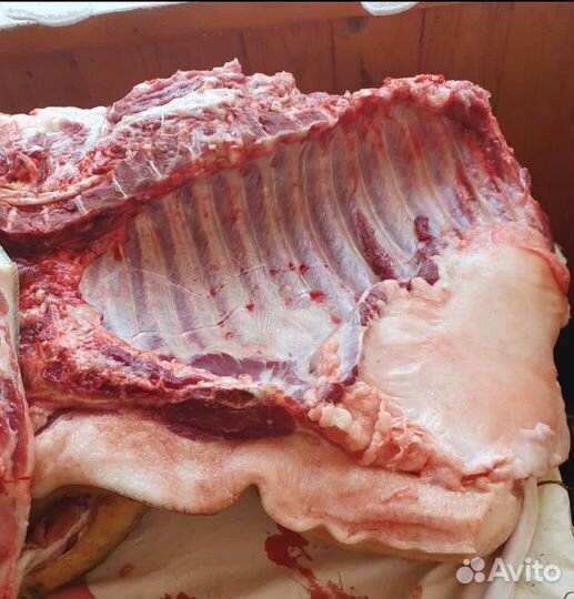 Мясо свинина домашняя