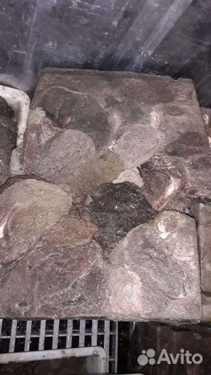 Рубец,требуха баранья