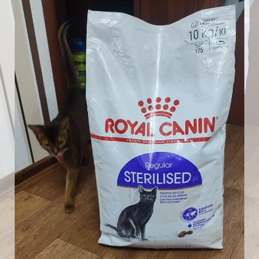 Сухой корм Royal Canin sterilised 37