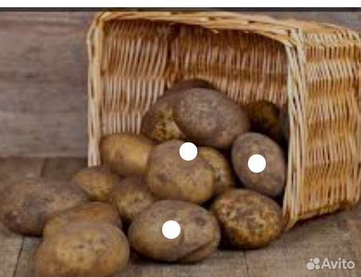 Продам картофель