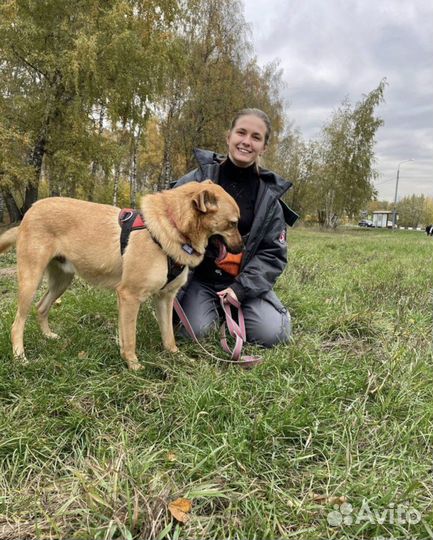 Непоседа Жак из приюта хочет на свободу