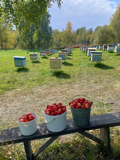 Участок 100 сот. (ИЖС)