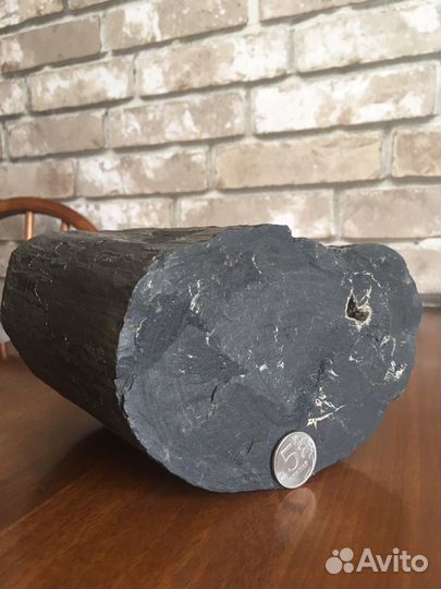 Окаменелое дерево