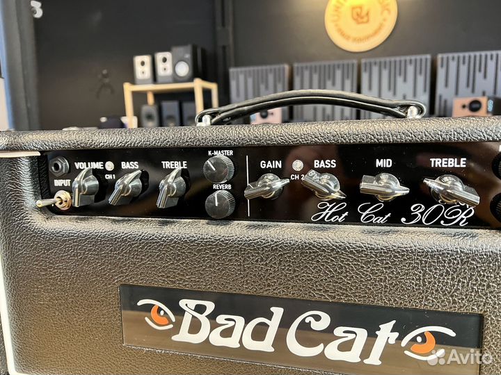 Bad Cat Hot Cat 30 Reverb Head в Наличии