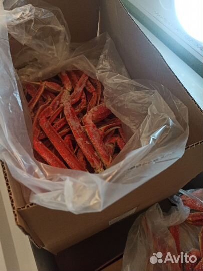 Краб Стригун опт/розница