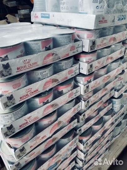 Royal Canin babycat/ babycat milk