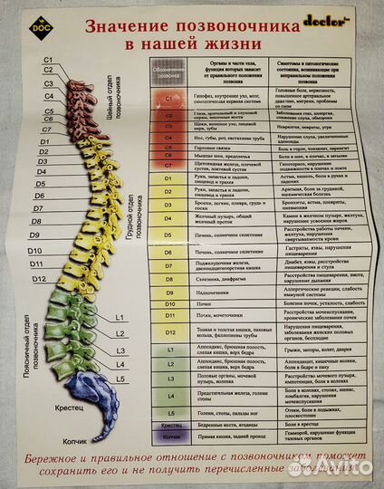 Doctor Столб-корсет позвоночный из верблюжьей шерс