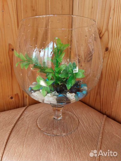 Аквариум комплект и корм