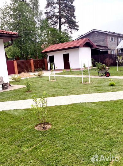 Рулонный газон 