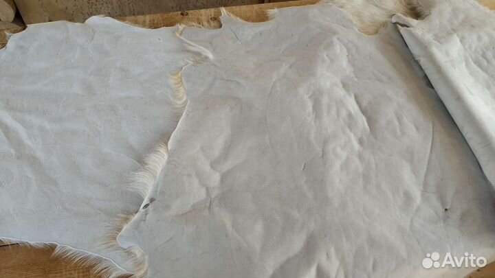 Выделка шкур коз, овец, баранов качественно