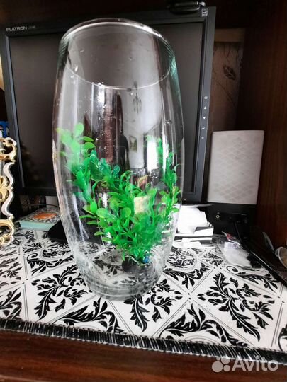 Ваза для флорариума