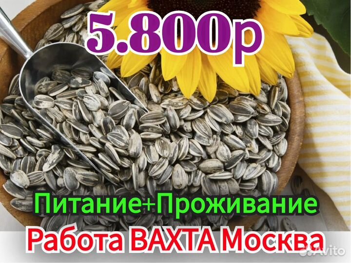 Работник на склад работа Проживание Питание