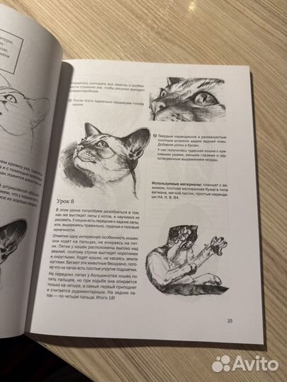 Рисуем кошек и собак