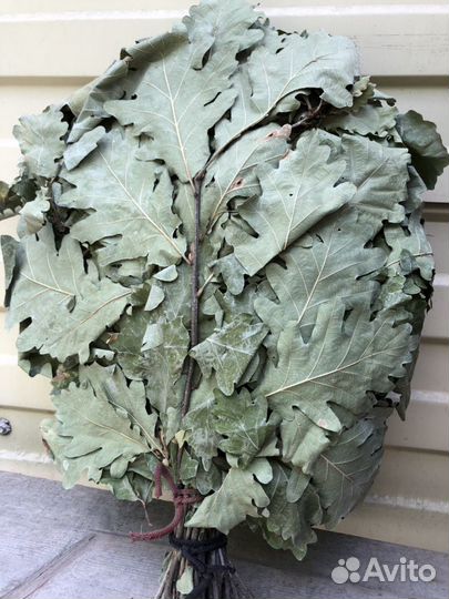 Веник дубовый для бани