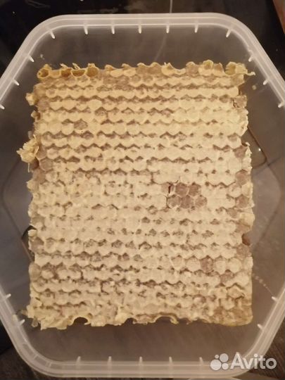 Медовые Соты Цветочные предгорные 2023