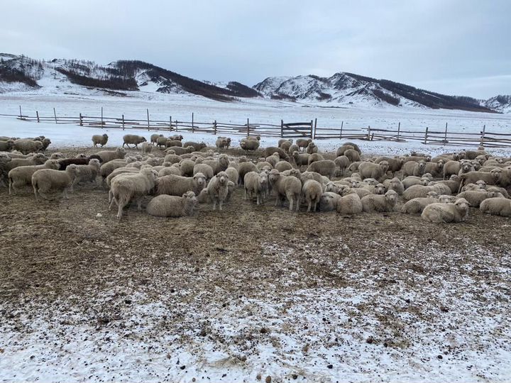 Участок 173,7 га (СНТ, ДНП)